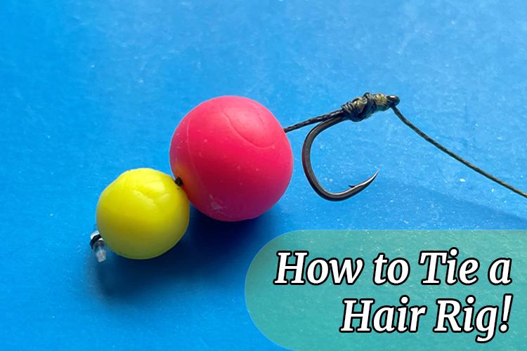 How to Tie a Hair Rig